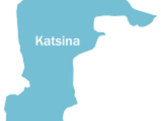 Katsina orders illegal occupants to vacate forestland