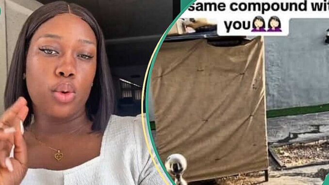 Nigerian Lady Flees Benin City after Seeing What Landlord Kept in Front of Her House, Video Trends