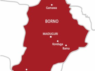 Death Toll Rises To 18 In Borno Multiple Suicide Attacks 