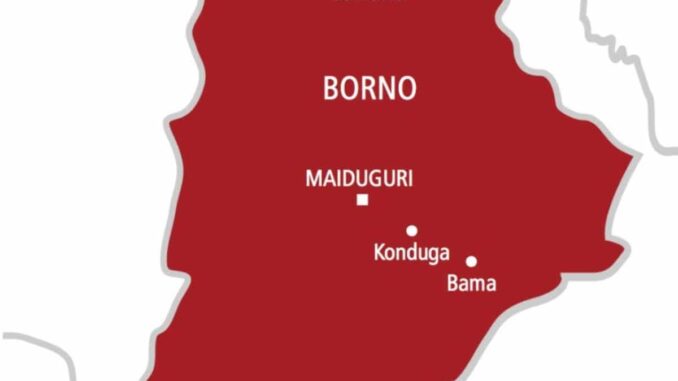 Death Toll Rises To 18 In Borno Multiple Suicide Attacks 