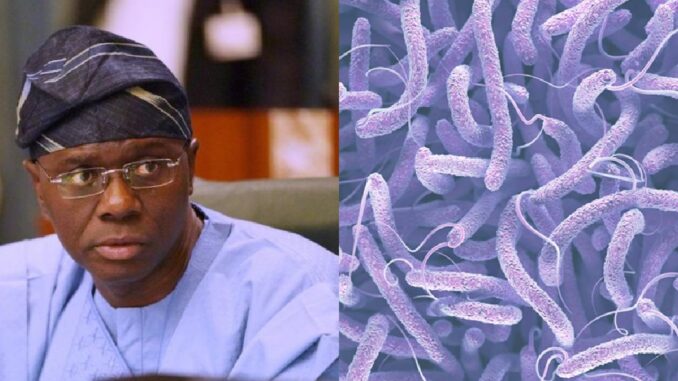 Lagos government lists areas with high cases of cholera as death toll rises to 21