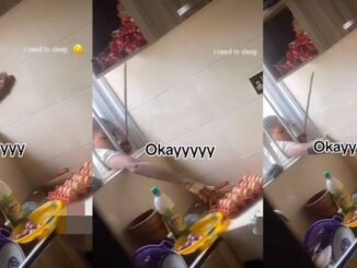 Man shocked as he catches lady skillfully stealing eggs from his kitchen window