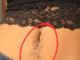 Your Woman Has Hair On This Part of Her Belly? This Is What It Means