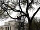 US Fed officials stressed 'patience' on rate cuts: minutes