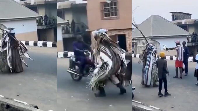 "He no believe in tradition" – Moment an "okada" man challenges a masquerade for flogging him (WATCH)