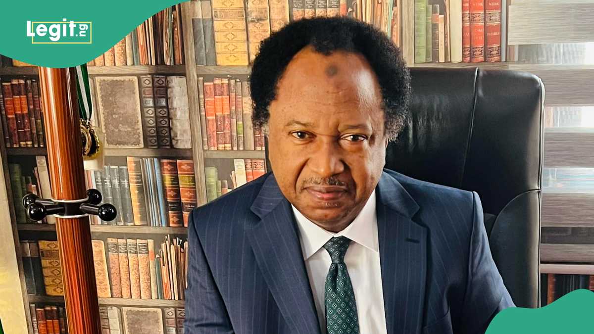 “Don’t Complain When They Protest”: Shehu Sani Knocks Govt Officials Over Diversion of Rice