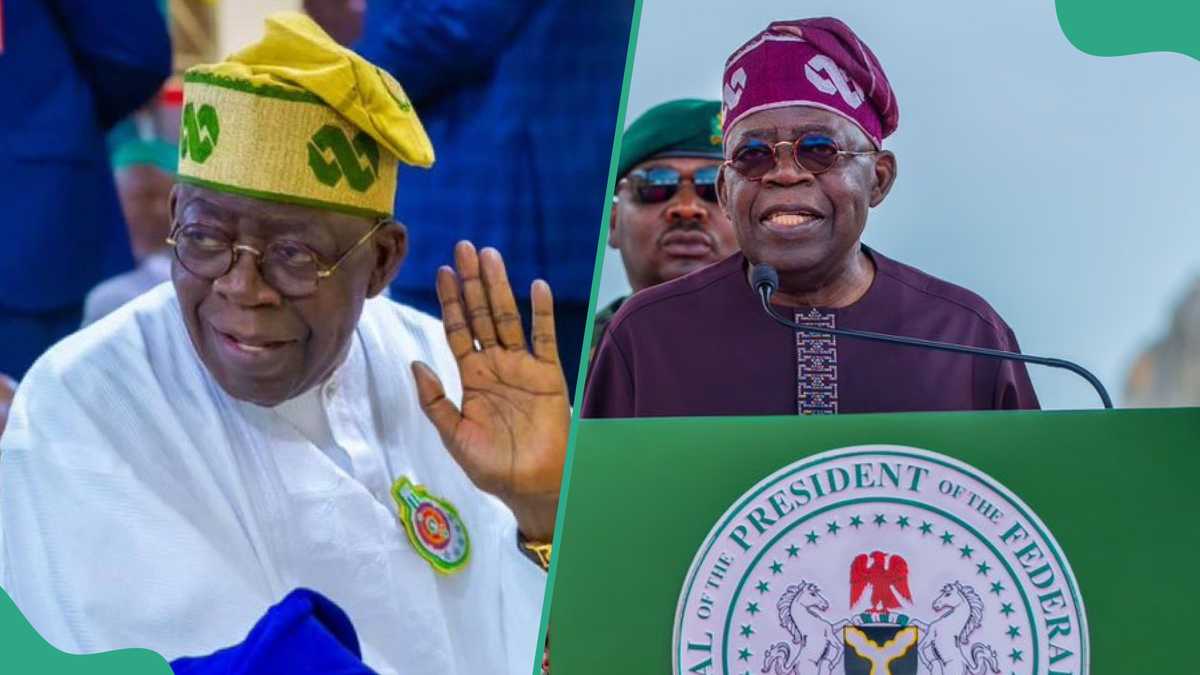 Hunger Protest: Eight Things Tinubu Has Done So Far