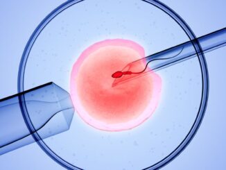 What is the latest in IVF research, and what are the next steps?