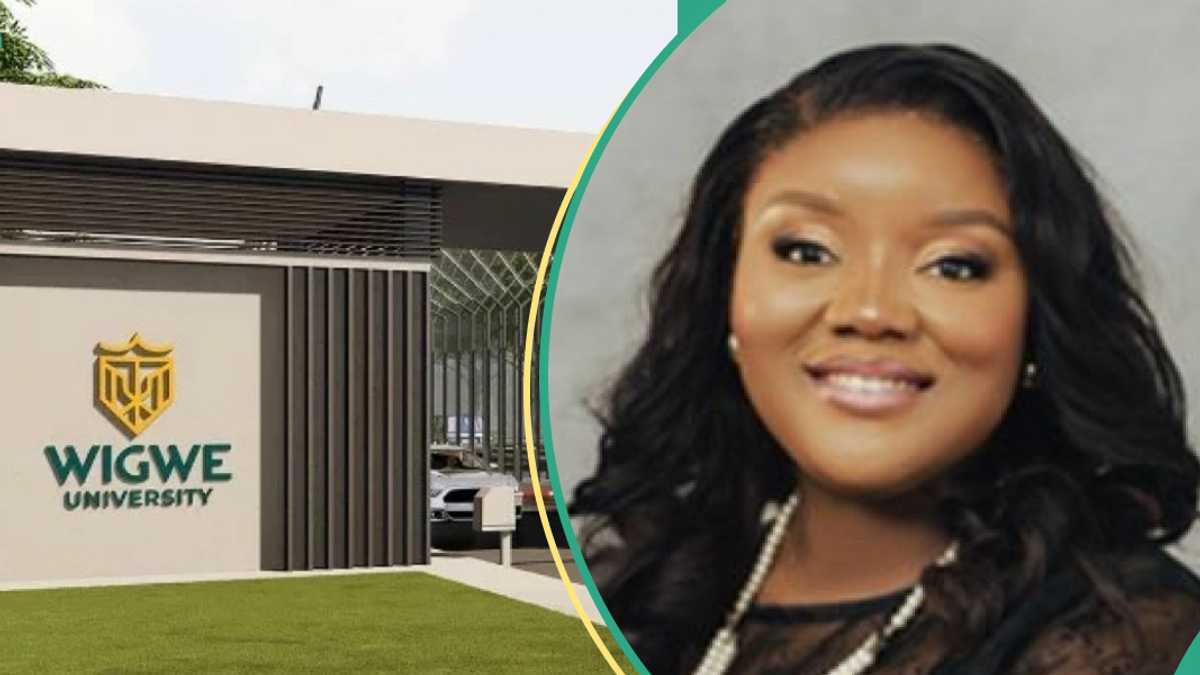 "Mysterious Circumstances": Tears as Wigwe University Registrar Dies in Abuja Hospital