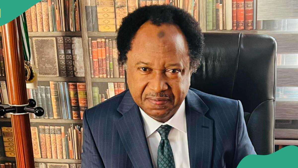 Shehu Sani Speaks Out as Deaths, Destruction Mar Nigeria's Hardship Protests, "Scores Dead"