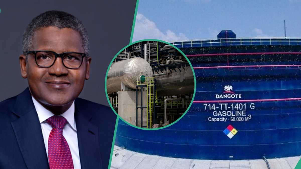 Expert Explains Why Dangote Cannot Crash Fuel Price, Speaks on Monopoly of Refinery