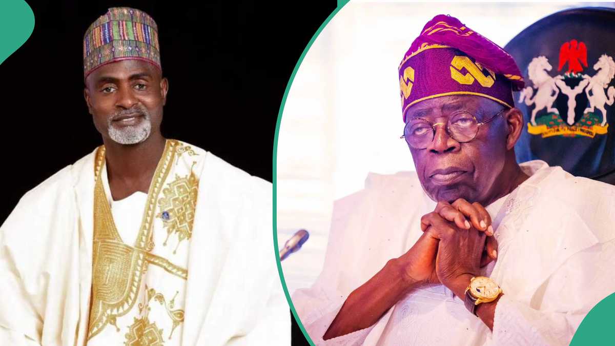 “Find the Reason Behind Protesters Raising Russian Flag”: APC Chieftain Advises Tinubu