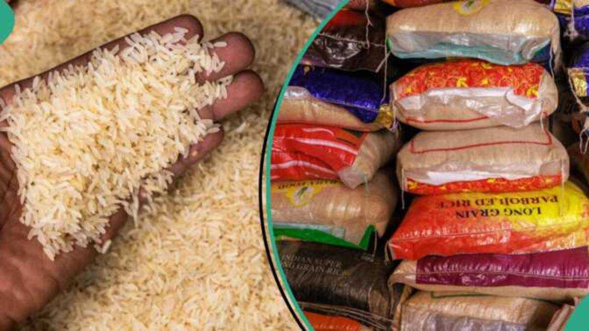 New Price Emerges as Importers Report Surge in Freight Costs, FG Releases Centres for N40k Rice