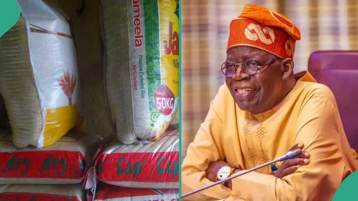 “Register Now”: Tinubu’s Govt Begins Distribution of N40,000 Rice, Discloses Those Who Are Eligible