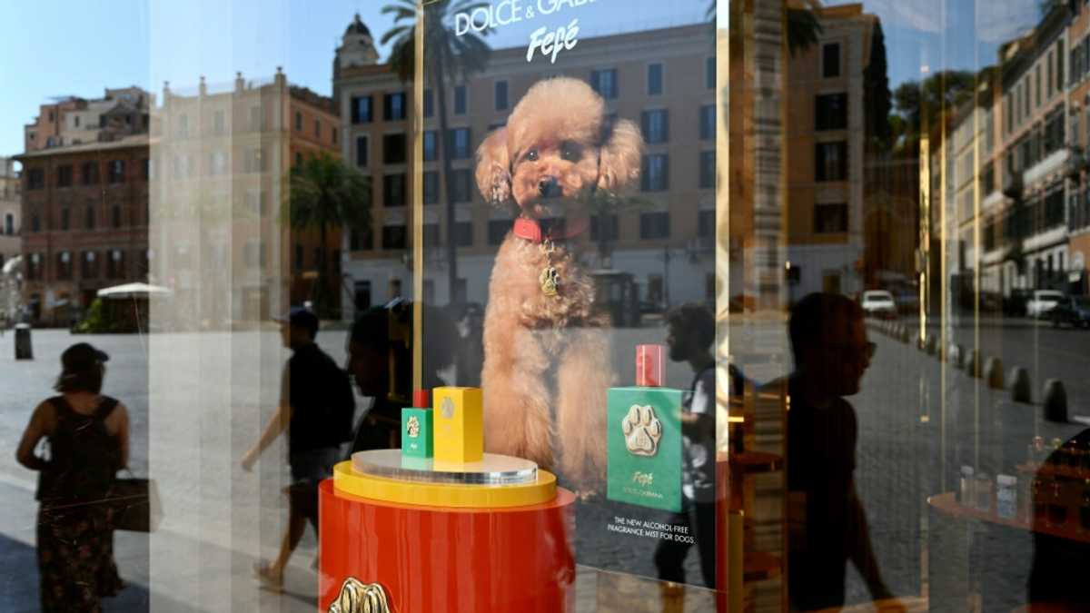 Not to be sniffed at: Dolce & Gabbana launches €99 dog perfume