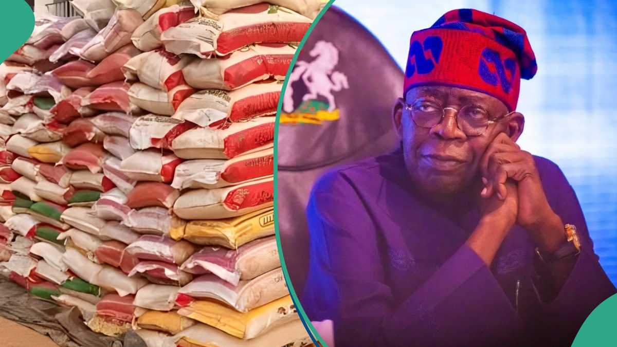 Hunger Protest: Tinubu’s Govt Suspends Sale of 50kg Bag of Rice to Workers at N40,000