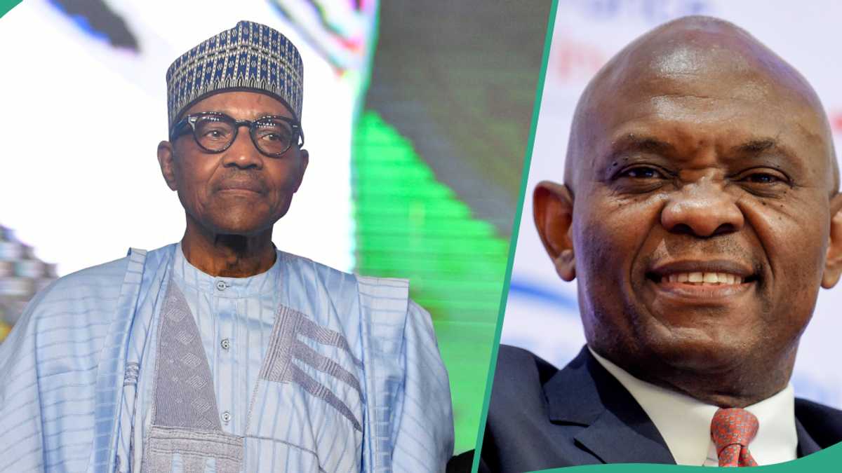 'How Buhari, Kyari Blocked My Attempt to Purchase Oilfield', Tony Elumelu Opens Up