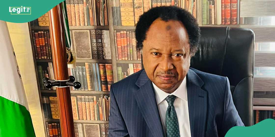 Shehu Sani discloses only 2 ways to cut cost of governance in Nigeria