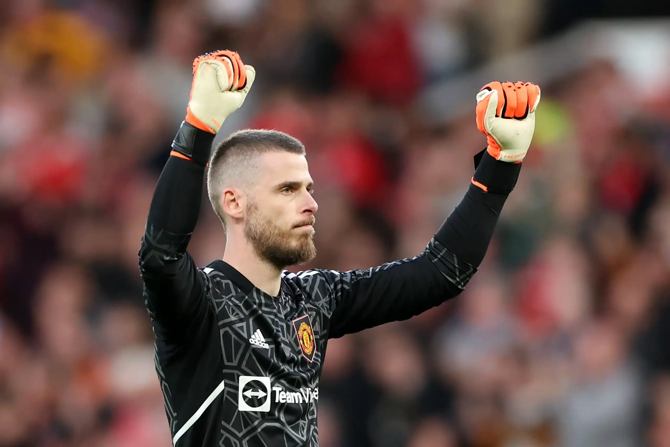 De Gea takes pay cut to join Fiorentina after year of no football