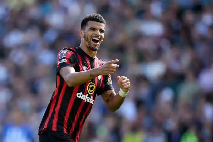 Tottenham secure Dominic Solanke in £65 Million deal