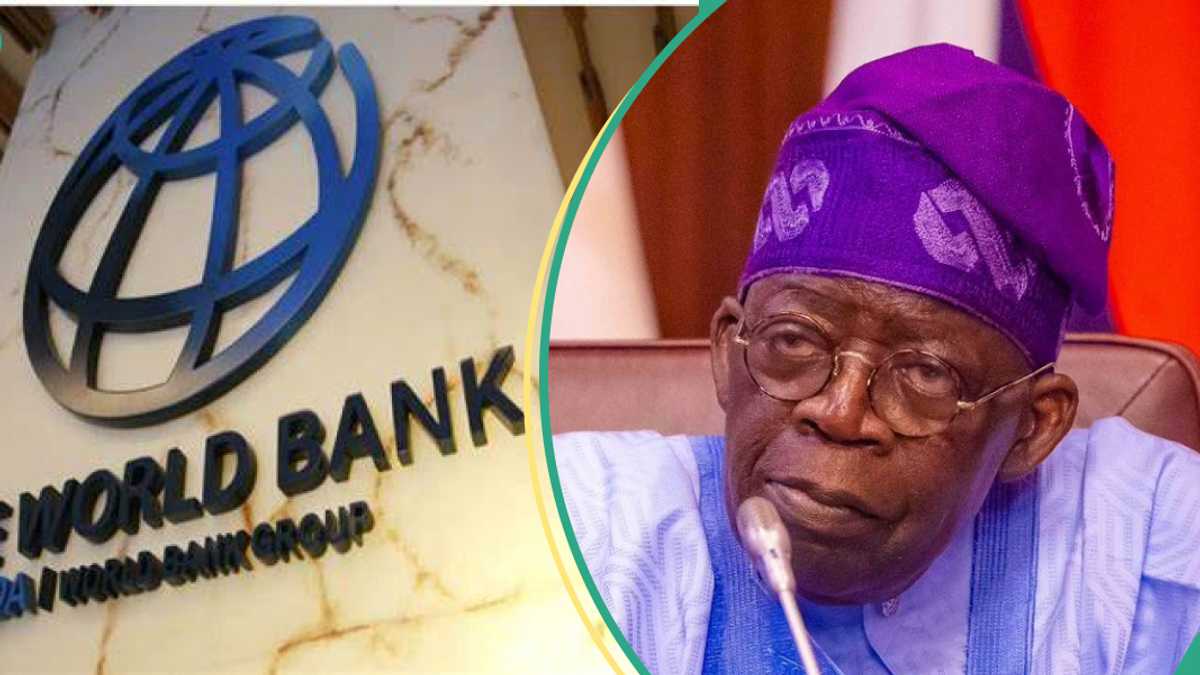 Tinubu's Govt Repaying 69 Loans Taken by Former Presidents, World Bank Shares Details