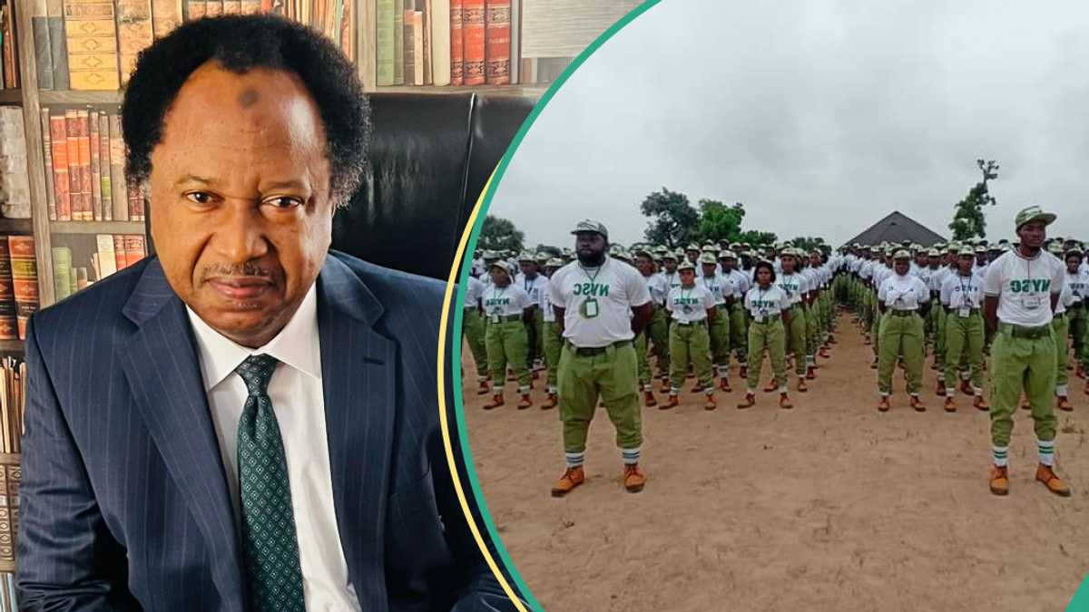 “This Fake is Good Fake”: Shehu Sani Reacts To NYSC Statement On Paying Corps Members N70,000