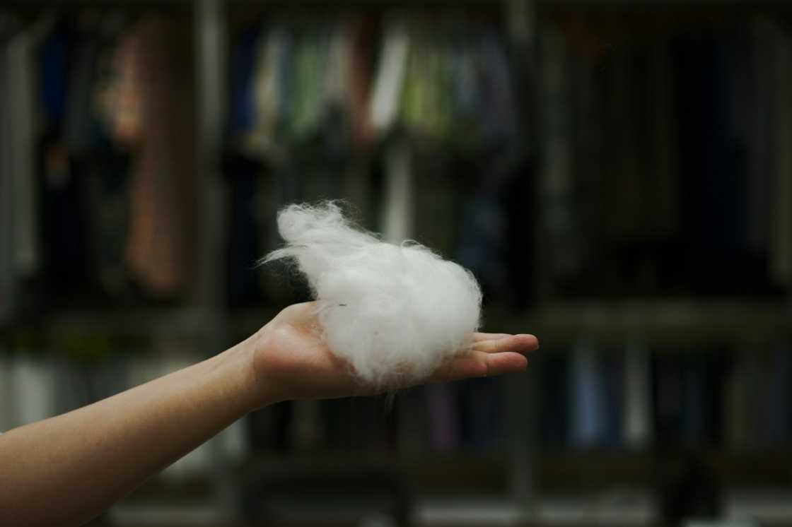 A woman displays a piece of fiber extracted from oyster shells at the Seawool textile factory in Tainan