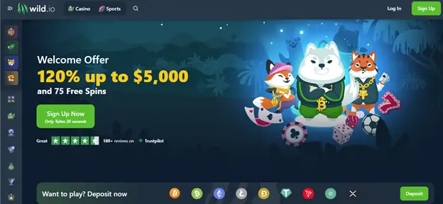 Bitcoin Live Casino