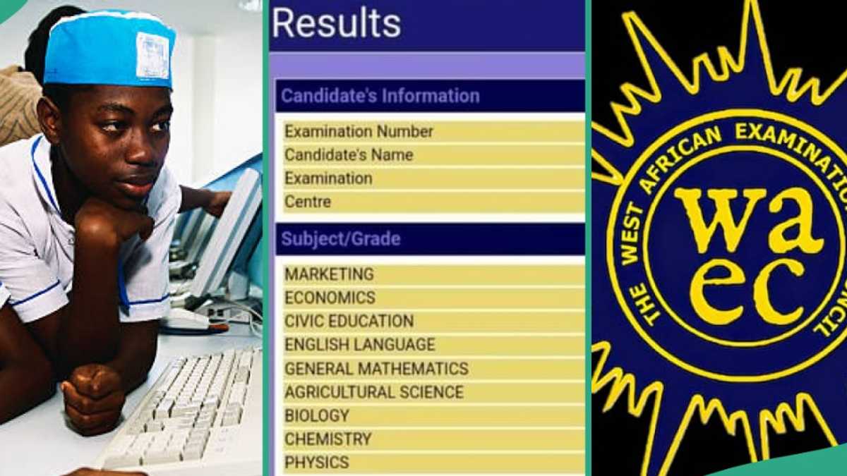 WAEC 2024 Result of Boy Who Got 259 in JAMB Stuns Nigerians, Photo Trends Online