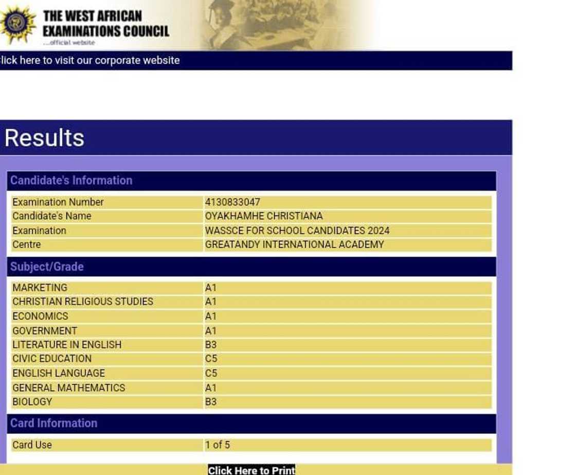 Nigerian Student from GreatAndy School Earns 5 A1s in WAEC Exams with Distinction in Maths