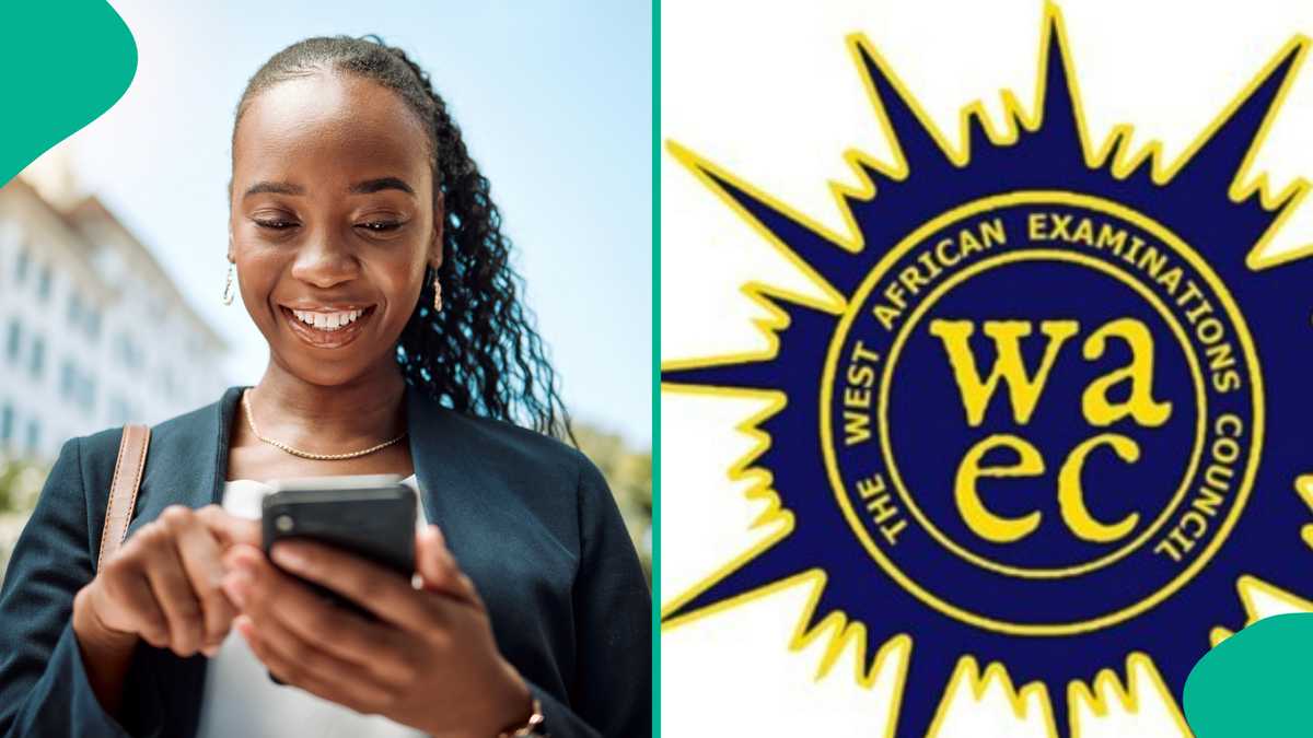 Nigerian Student from GreatAndy School Earns 5 A1s in WAEC Exams with Distinction in Maths