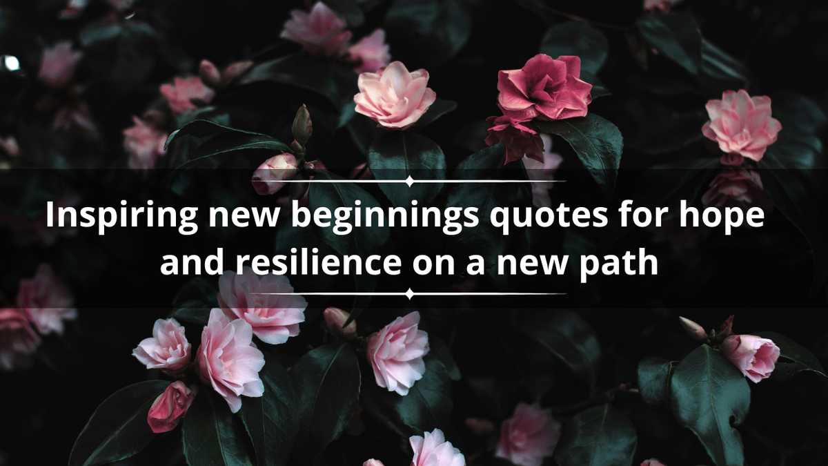 55 inspiring new beginnings quotes for hope and resilience on a new path