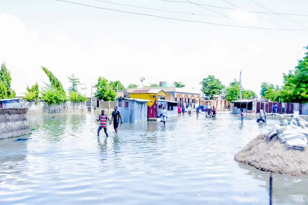 Flood: Ex-Senate President, Lawan tasks NEMA on provision of relief materials to victims in Yobe