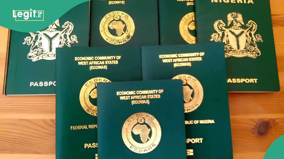 BREAKING: Tinubu’s Govt Increases Nigerian Passport Fees, Details Emerge