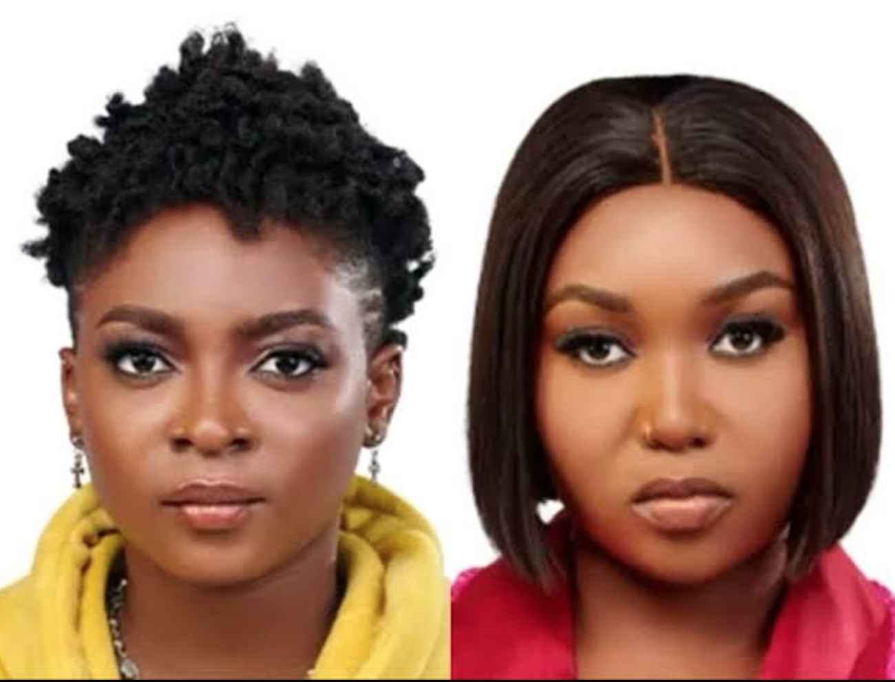 BBNaija S9: Floruish duo evicted from reality show