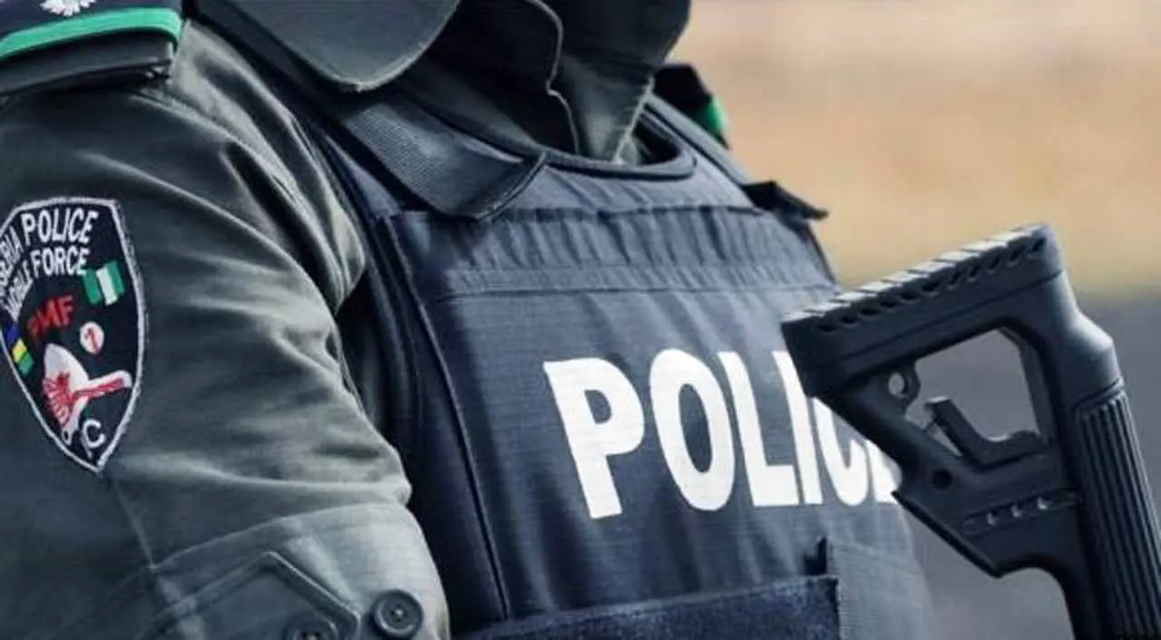 Bauchi: Police arrest 20-year-old for armed robbery