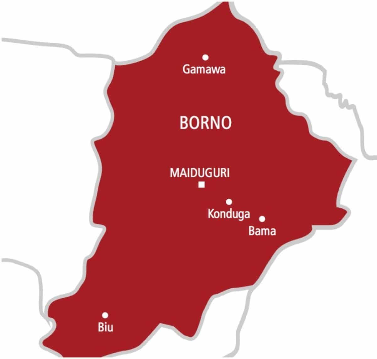 Boko Haram Terrorists Kill 4 Farmers In Borno