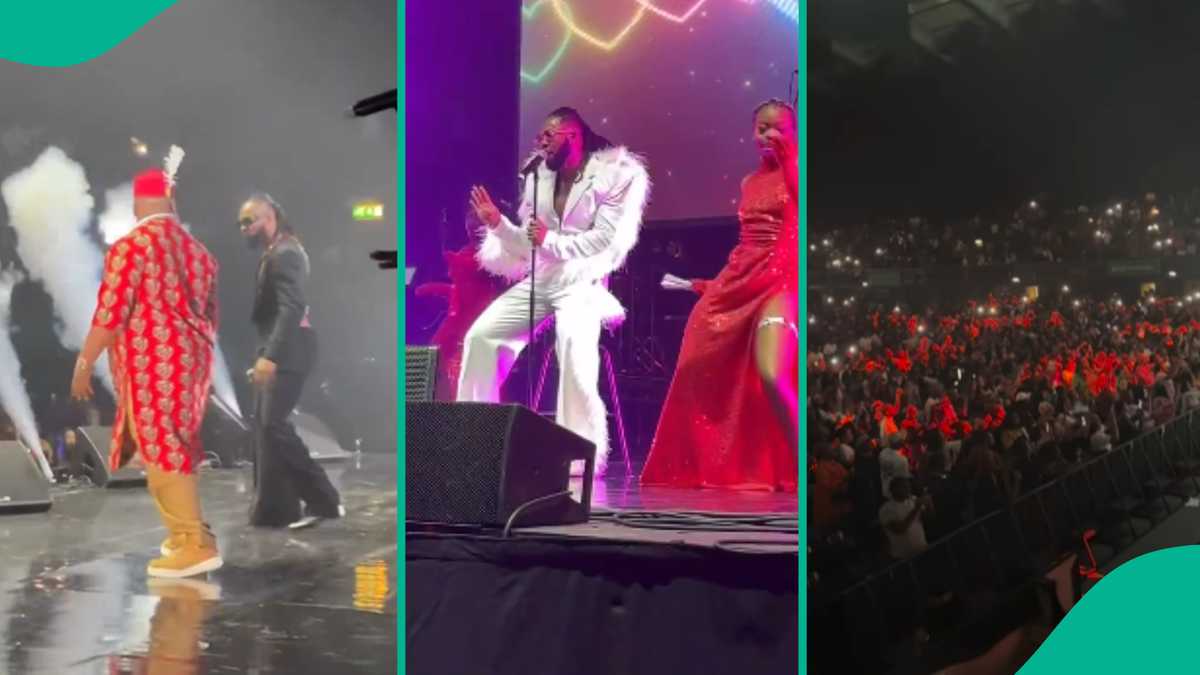 Clips From Flavour’s Concert at OVO Wembley Goes Viral As Bright Chimezie, Chike, Phyno All Attend