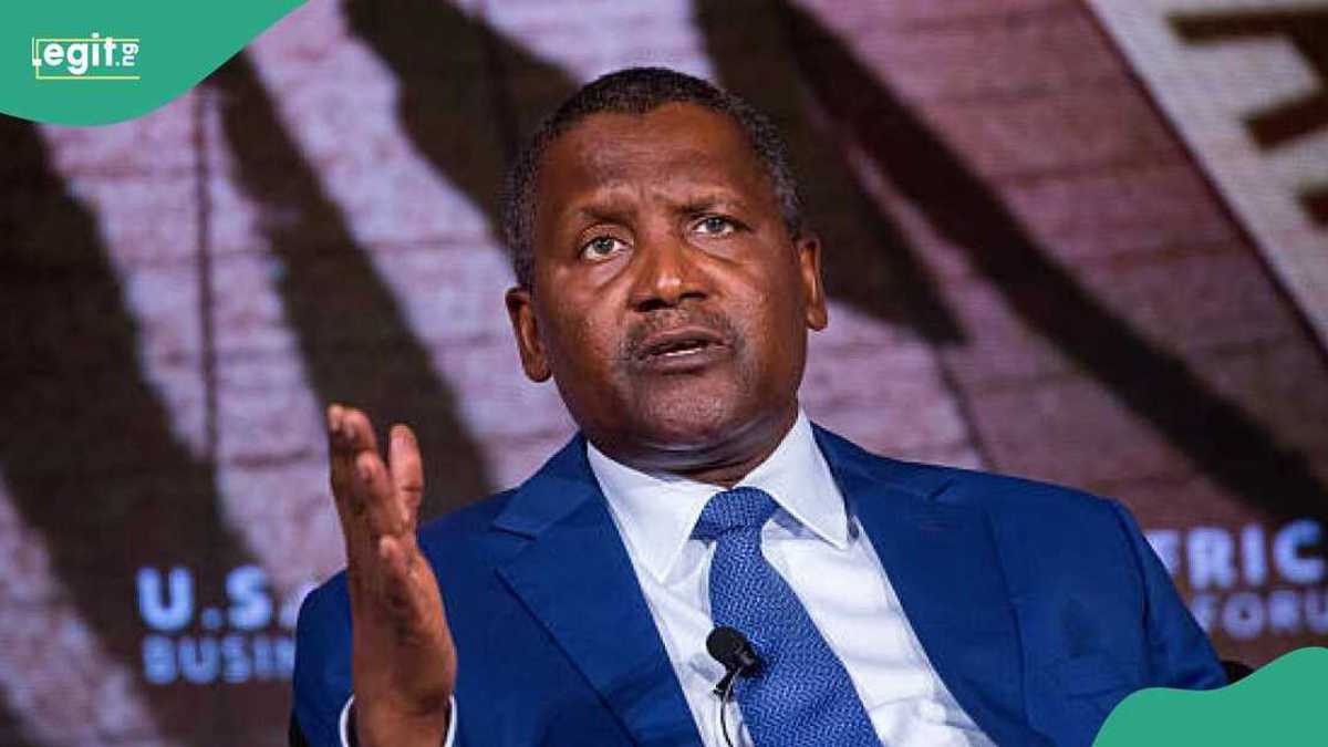 Forbes Announces South African Billionaire Richest Man in Africa, Dangote Gets New Position