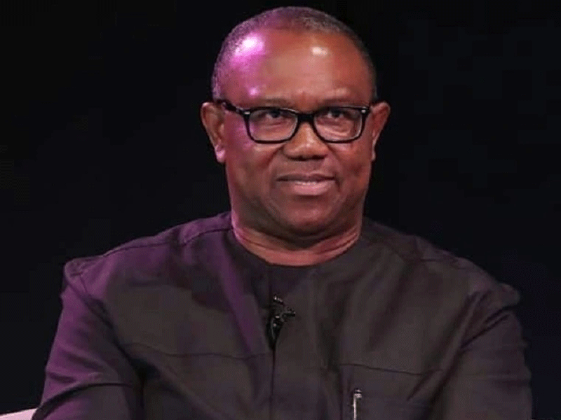 Genocidal threats: Govt must arrest, prosecute those behind heinous agenda – Peter Obi