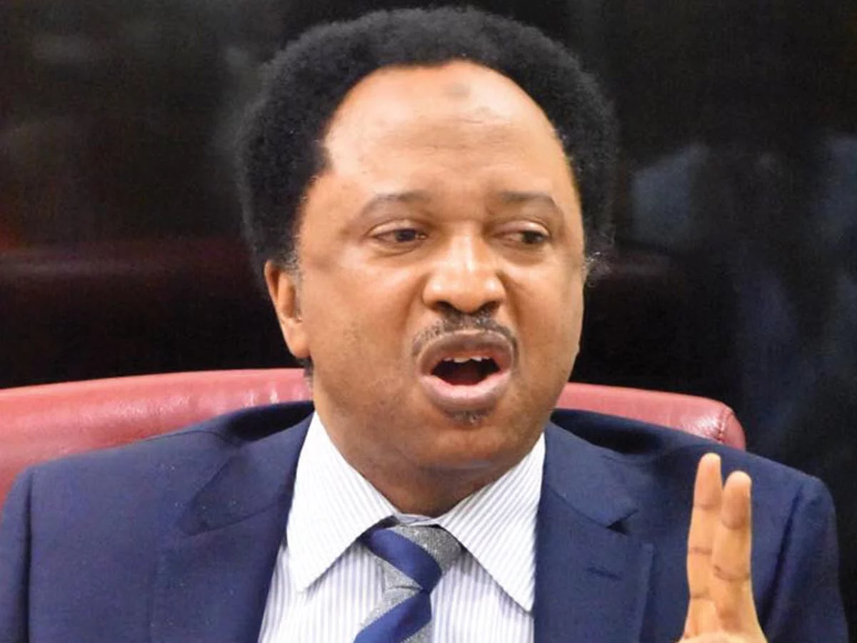 It’s time to probe ourselves as northerners, after blaming other regions – Shehu Sani