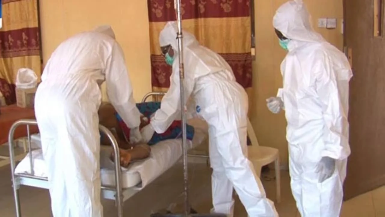 NCDC reveals discovery of 7 new cases of Lassa Fever