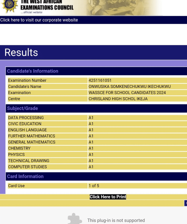 2024 WAEC: Nigerian boy scores A1 in all 9 subjects