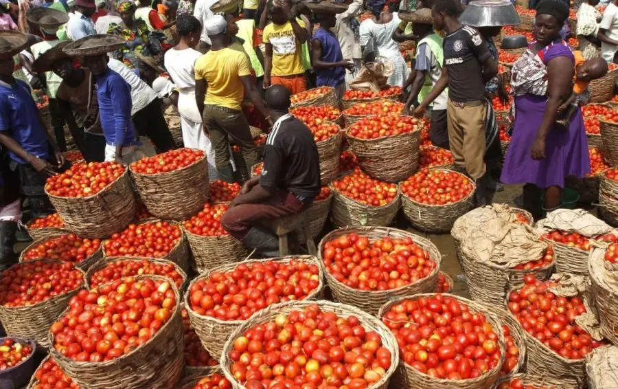 Protests: Prices of tomatoes, pepper crash to N60,000 per basket – Rewane