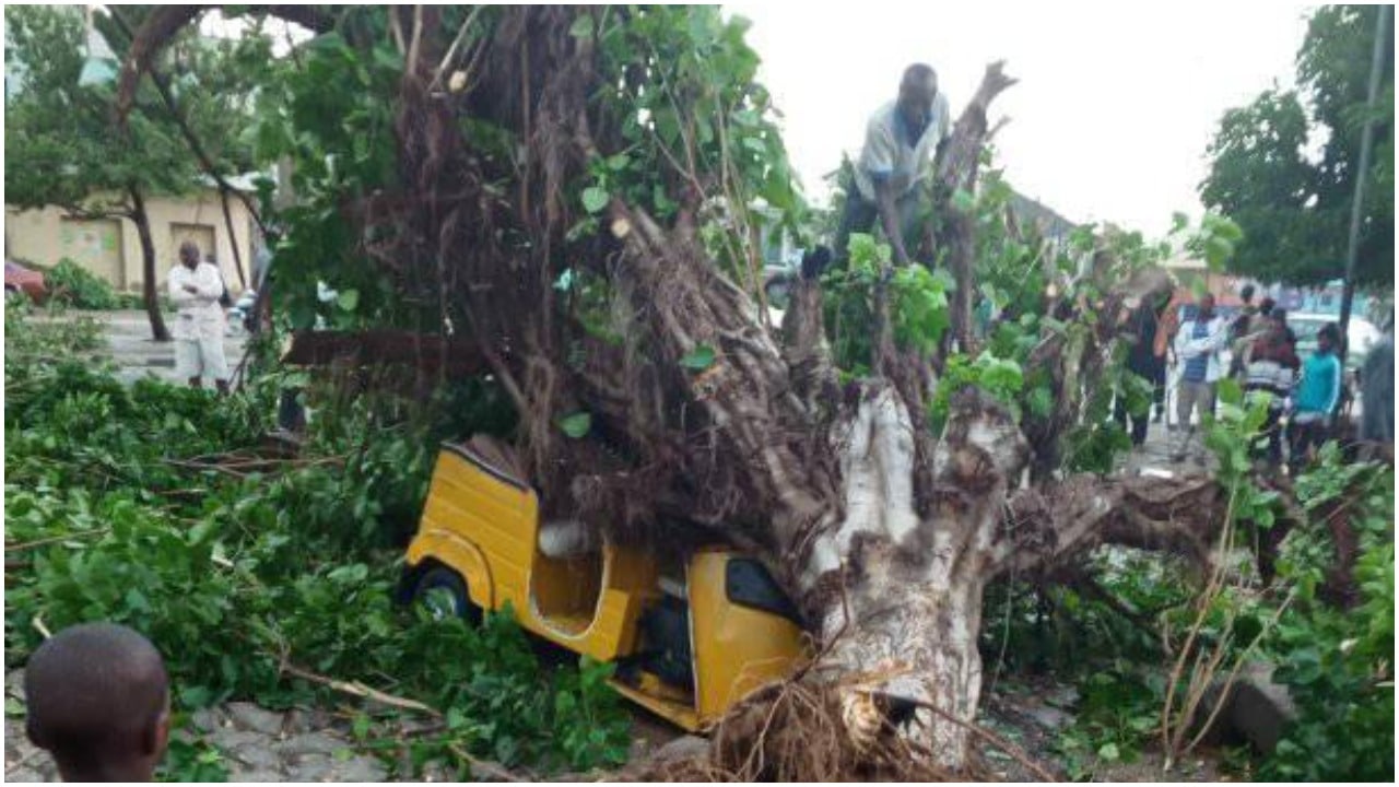 Rain, windstorm destroy 58 nomadic school in Jigawa