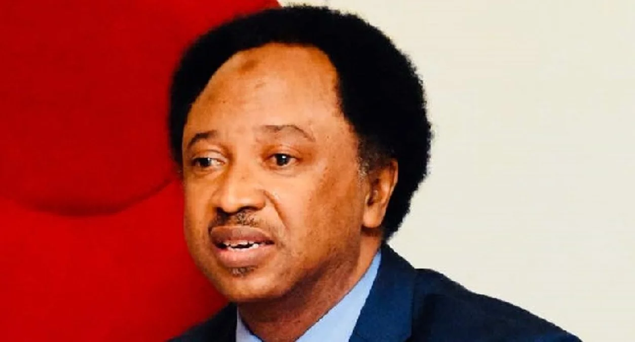 Those encouraging protests in Northern Nigeria should reconsider – Shehu Sani