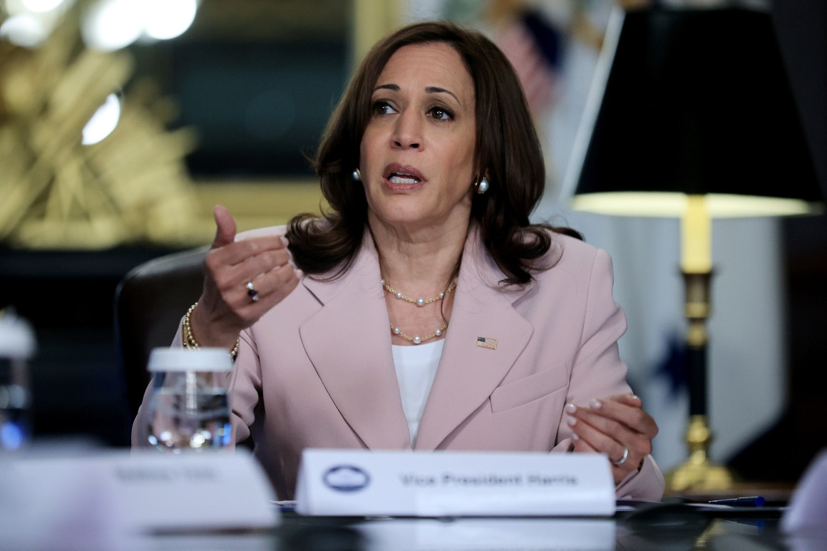 US presidential election: Harris will beat Trump - By Tiko Okoye