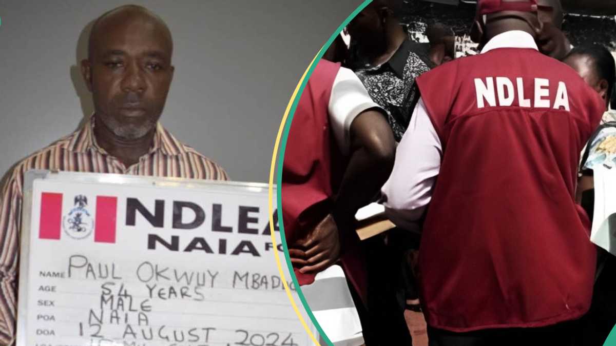 Vietnam-Bound Man Excretes 88 Cocaine Pellets After 4 Days in NDLEA Custody, Details Emerge