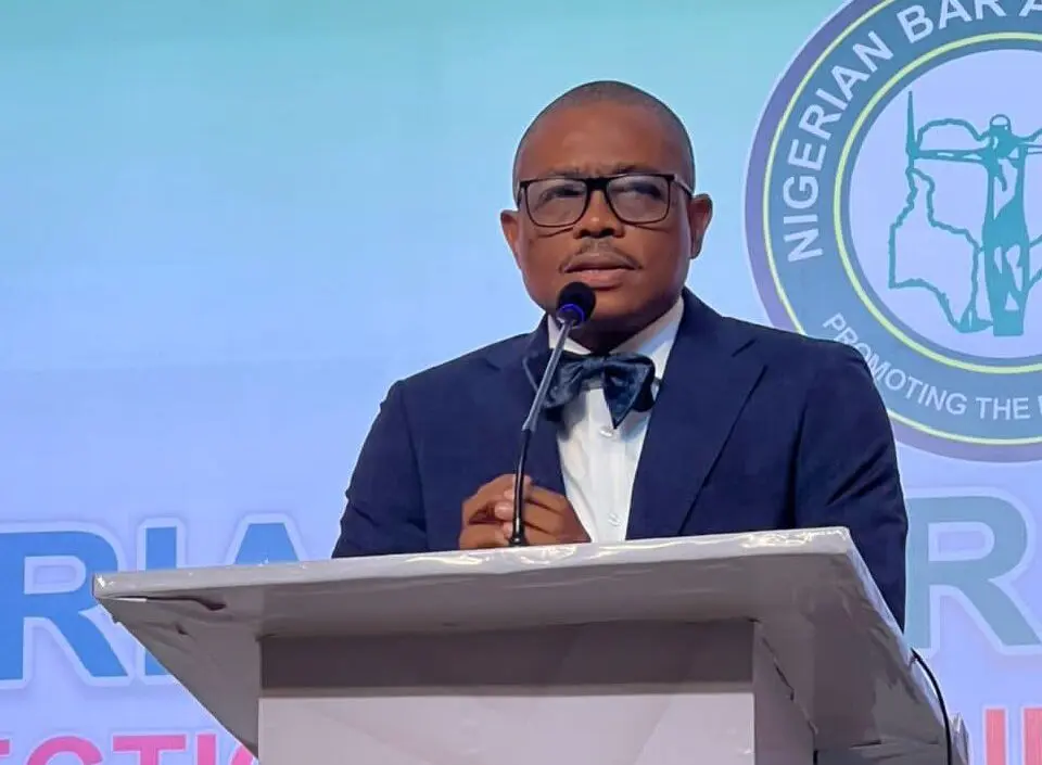 We’ll hold government accountable — New NBA President Osigwe