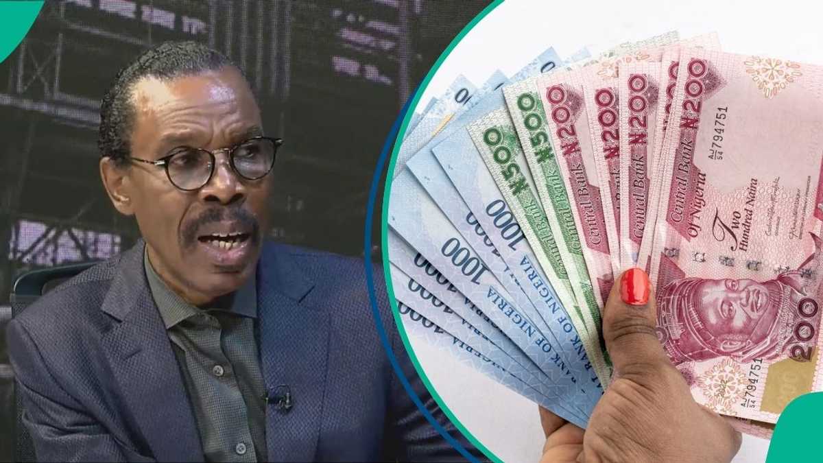 Windfall Tax: Policy is a Win-Win For Social Good, Bismark Rewane Says